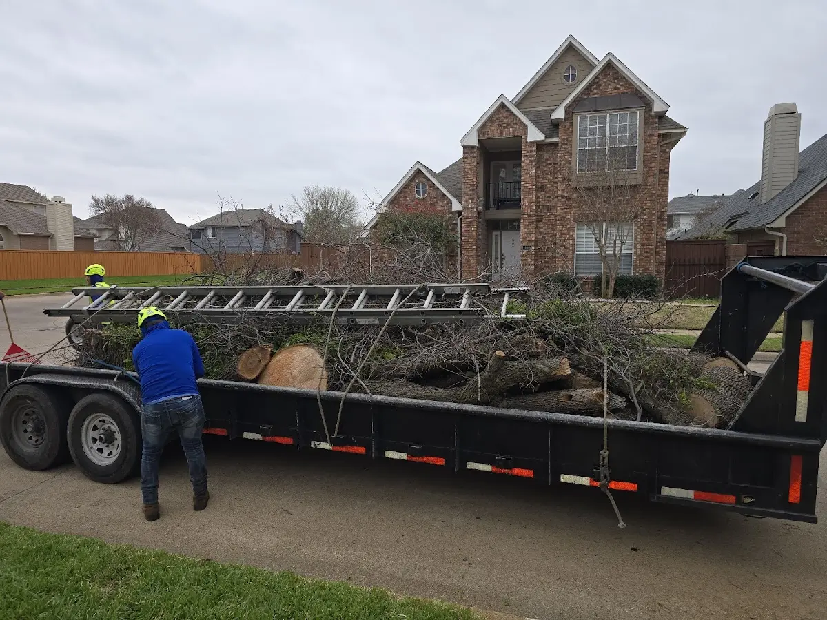Expert Tree Fertilization with proper safety equipment in Skanee